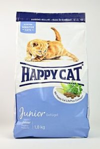 happy cat junior