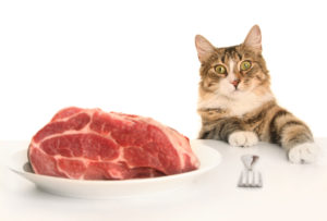 натуральное мясо для кошек