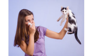у девушки аллергия на кошек