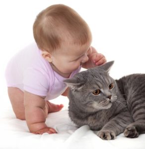 младенец с котом