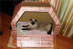 домик из картона для родов кошки