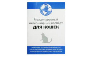 международный ветеринарный паспорт для кошек