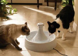 поилка фонтан для кошек